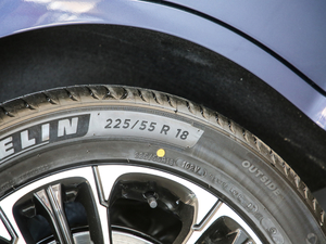 2021400TGI Supremeϵs (ji)^