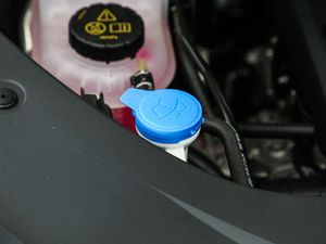 2021400TGI Supremeϵs 