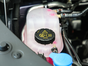 2021400TGI Supremeϵs 