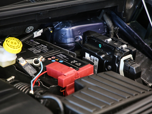 2021400TGI Supremeϵs 