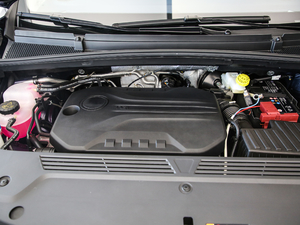 2021400TGI Supremeϵs 