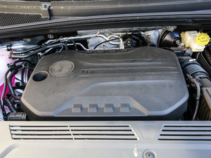 2021400TGI Supremeϵs 