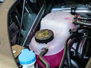 2021400TGI Supremeϵs 