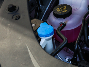 2021400TGI Supremeϵs 