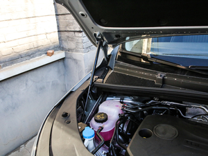 2021400TGI Supremeϵs 