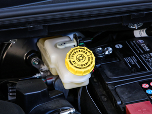 2021400TGI Supremeϵs 