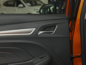 2021PRO 1.6L CVTӢ g