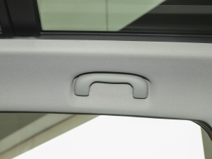 2021PRO 1.6L CVTӢ g