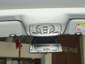 2021PRO 1.6L CVTӢ g