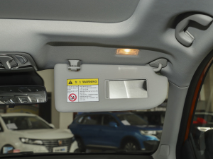 2021PRO 1.6L CVTӢ g