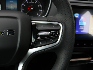 2021PRO 1.6L ք(dng)Ş п؅^(q)