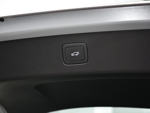 2021Supremeϵ 400TGI Ԅœs п؅^