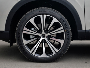 2021Supremeϵ 400TGI ԄӺAœ ݆Ȧ