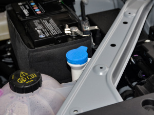 2021Supremeϵ 400TGI ԄӺAœ 