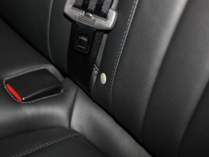 2021Supremeϵ 300TGI Ԅœs g