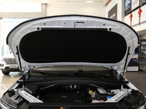 2021Supremeϵ 300TGI Ԅœs 