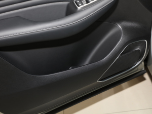 2021Supremeϵ 300TGI ԄӺAœ g