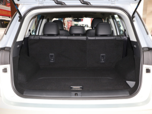 2021Supremeϵ 300TGI ԄӺAœ g