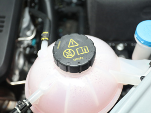 2021Supremeϵ 300TGI ԄӺAœ 