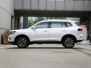 2021Supremeϵ 300TGI Ԅ(dng)œ (c)