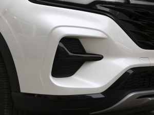 2021Supremeϵ 300TGI Ԅœ ^