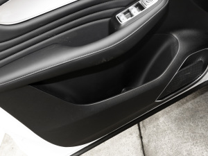 2021Supremeϵ 300TGI Ԅœ ǰTg