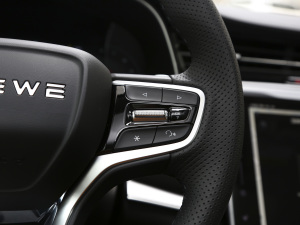 2021Supremeϵ 300TGI Ԅœ п؅^