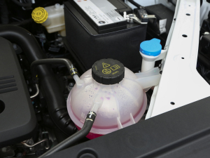 2021Supremeϵ 300TGI Ԅœ 