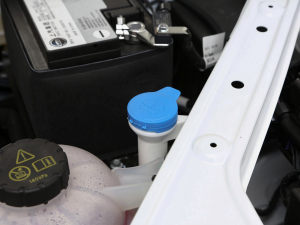 2021Supremeϵ 300TGI Ԅœ 