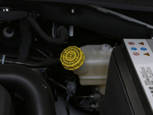 2021Supremeϵ 300TGI Ԅœ 