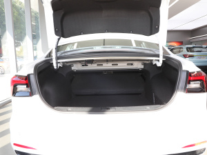2021款EV 500天幕尊享版 空间座椅