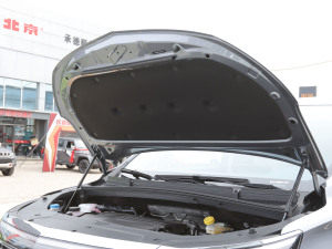 2022400TGI g۰ ŲͺĘ(bio)ʾ