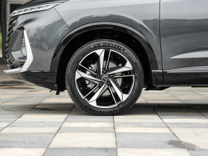 20221.5T ԄОŞ (x)(ji)^