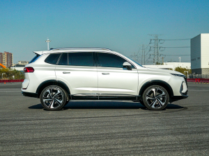 20221.5T ԄОŞ (c)ң