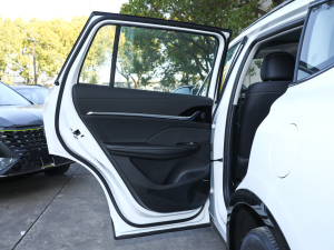 2022款PHEV 无畏尊享版 左后车门