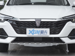 2022款EV 500天幕特别版 中网