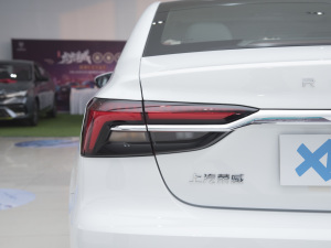 2022款EV 500天幕特别版 细节外观