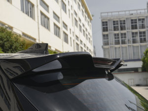 2023PLUS 330TGI ԄI(lng) (ji)^