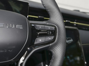 2023PLUS 330TGI ԄI п؅^(q)