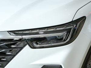 2023PLUS 330TGI Ԅ(dng)I(lng)ǻݰ 