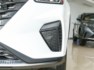 2023PLUS 330TGI ԄIǻݰ ^