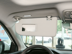 2023PLUS 330TGI ԄI(lng)ǻݰ ꖰ壨