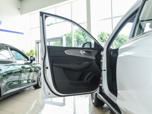 2023PLUS 330TGI ԄI(lng)ǻݰ {λ܇T