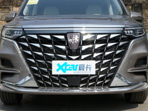 2023款400TGI 越享版 中网