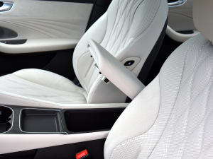 2023EV 510km (q)Ş g