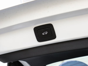 201630T (q)(lin)W(wng) g