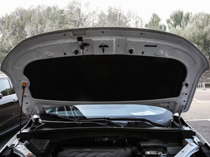 201630T 򌻥(lin)W(wng) 