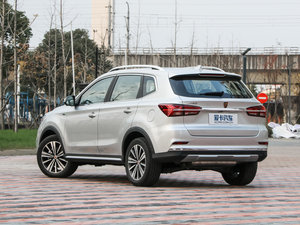 2017eRX5 50T (lin)s 45