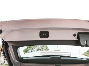 2017eRX5 50T (lin)s g