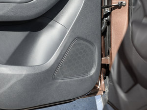 2017eRX5 50T (lin)s g